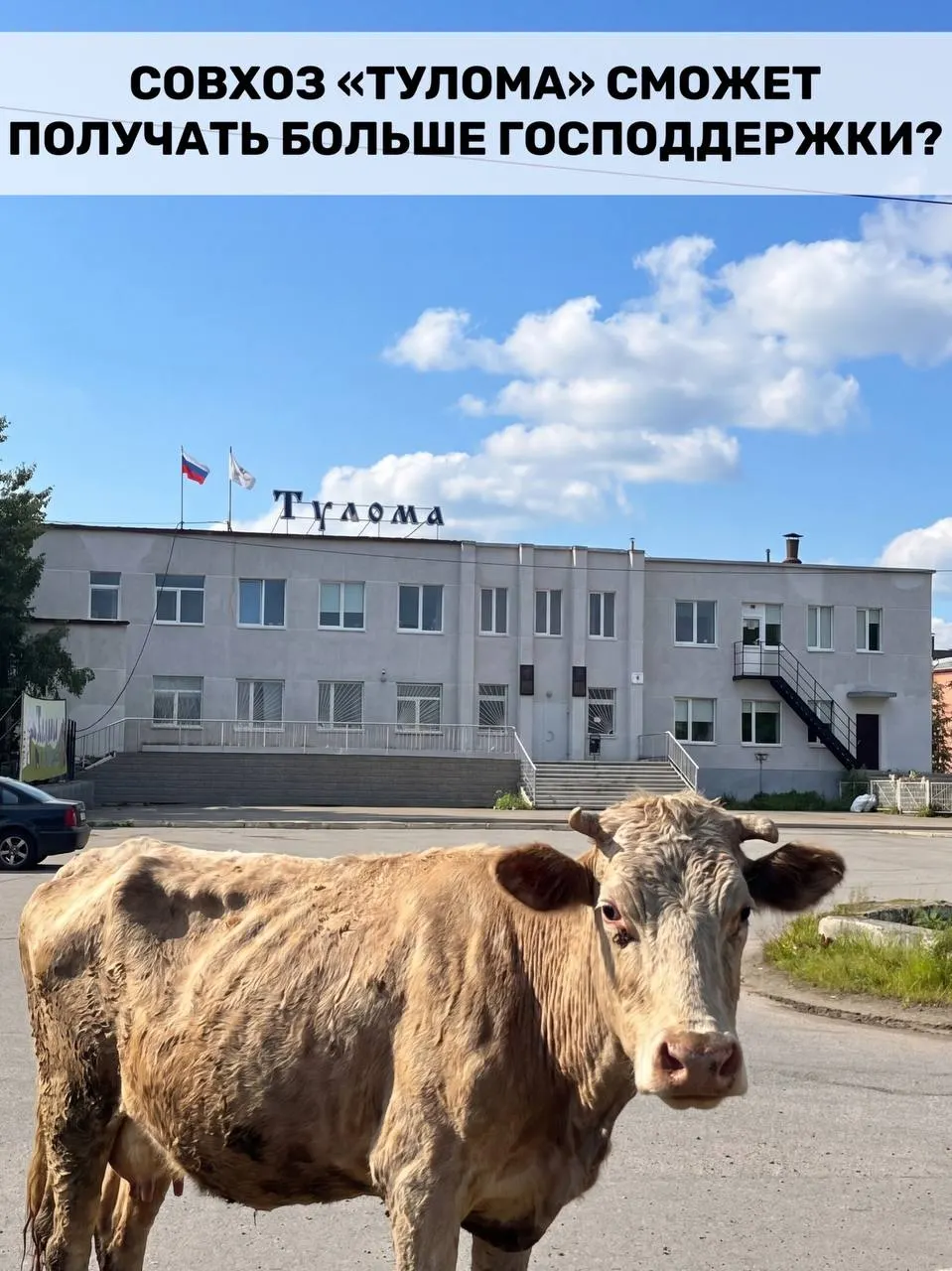Федеральное правило теперь позволяет получать субсидии хозяйствам с долей государства или муниципалитета более 25%. Для региона с большим количеством подобных предприятий это может быть значимой поддержкой, но возникают вопросы о своевременности помощи на фоне проблем в отдельных совхозах.