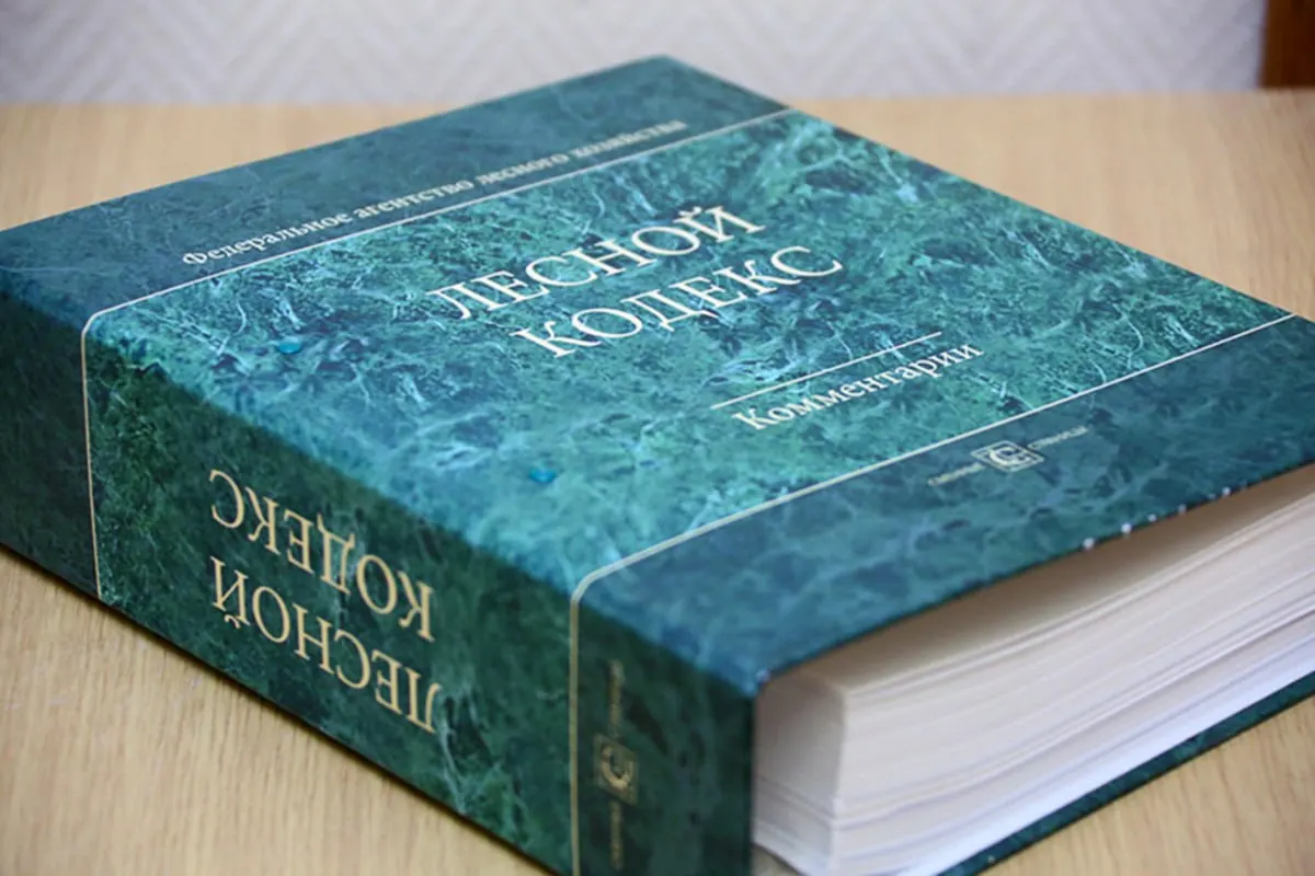 С 2006 года в Лесной кодекс внесли 79 пакетов поправок; лесной эксперт считает, что документ фактически стал новым и требует замены — более простого и компактного регламента.