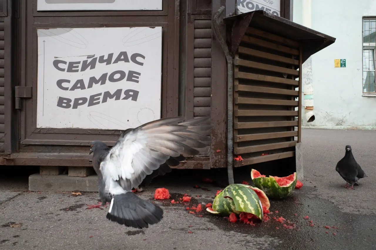 В Петербурге заочно оштрафовали священника за антивоенные высказывания; в Ленобласти проходят судебные и административные процедуры, а по всей стране — выборы, кибератаки и кадровые решения в Минобороны, а также памятные церемонии.