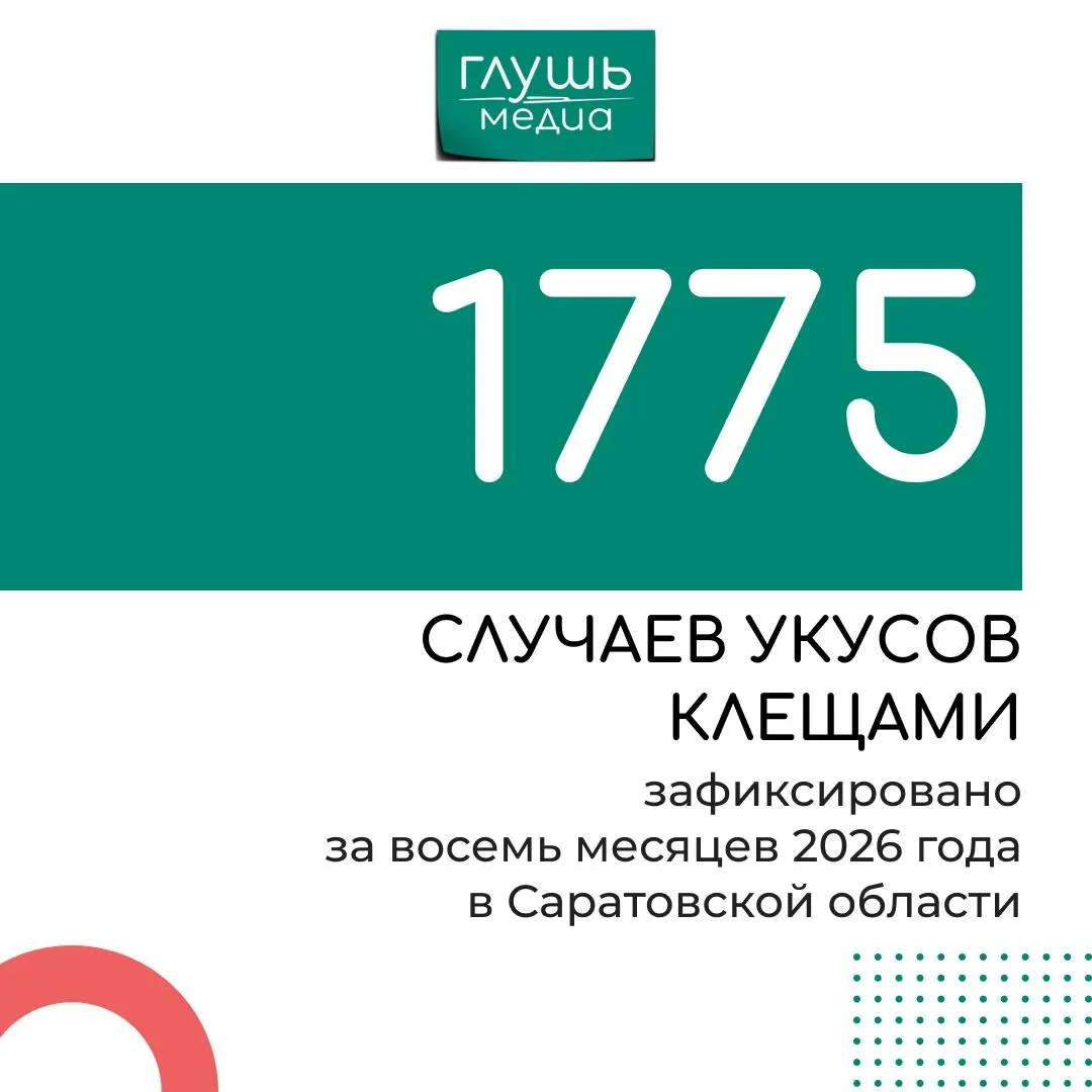 За восемь месяцев 2026 года жители Саратовской области обращались к медикам по поводу укусов клещей примерно вдвое чаще, чем за аналогичный период прошлого года.