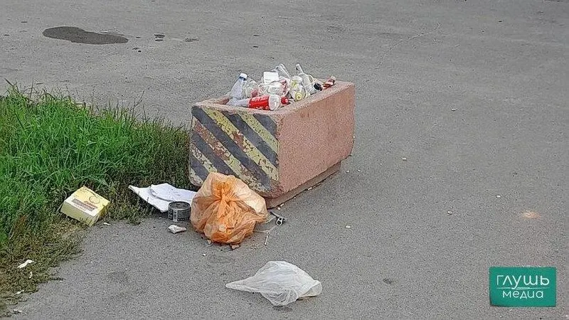 Жители региона будут приводить в порядок улицы, скверы, парки и дворы в рамках месячника по благоустройству, стартовавшего 1 октября.