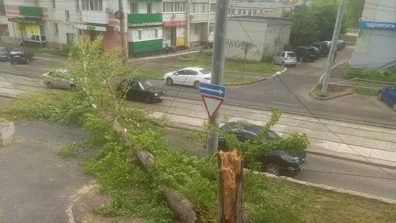 26 мая в Заводском районе на улице Огородной из‑за усиления ветра упавшее дерево повредило контактную сеть трамваев; движение на маршрутах №8 и 9д было приостановлено.