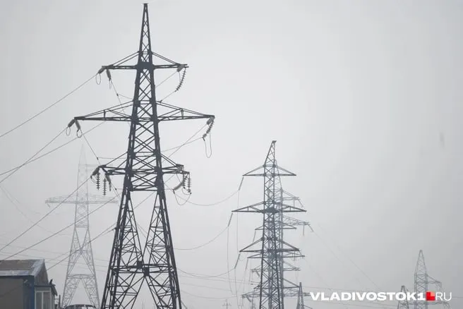 Минэкономразвития в сценарии, утверждённом правительством, закладывает поэтапное повышение тарифов на электроэнергию для Приморья: рост начнётся с 1 октября 2026 года и продолжится ежегодно до 2029 года, в результате ставка для городского населения может достичь около 8,04 рубля за кВт·ч.