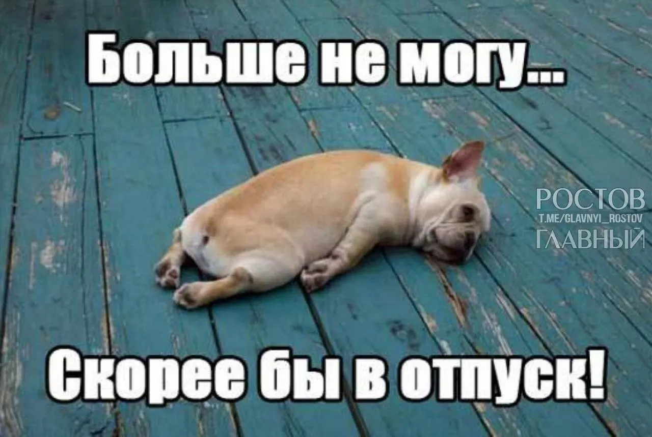 В Госдуме предлагают повысить минимальную длительность ежегодного отпуска с 28 до 35 дней, чтобы компенсировать включённые в отпуск выходные и снизить риск выгорания.