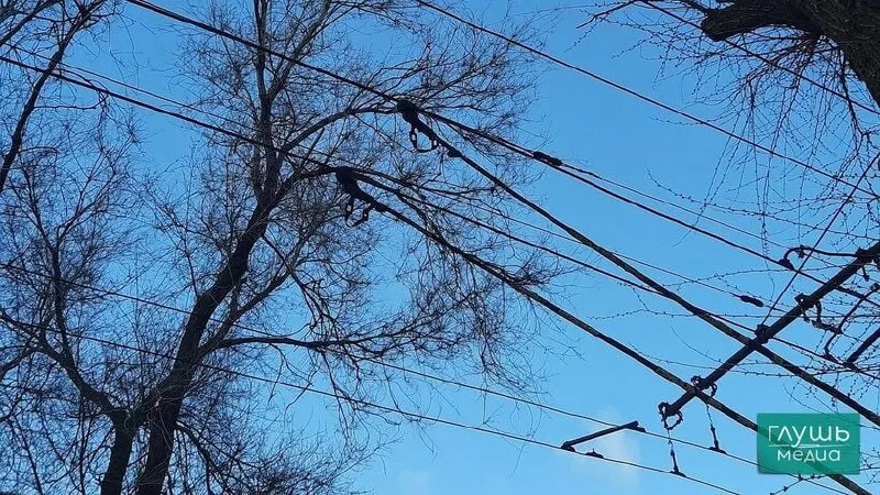 В Саратове временно остановлено движение троллейбусов маршрута №3 из‑за аварии на водопроводных коммуникациях на пересечении улиц Рахова и Бахметьевская; сроки восстановления не названы.