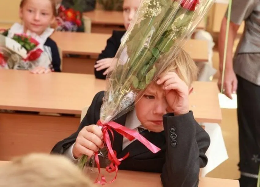 Замглавы Минпросвещения РФ заявил, что 11-летняя модель обучения признана оптимальной; сокращать или увеличивать срок не планируют, а все изменения будут учитываться с расчётом на 11 классов.
