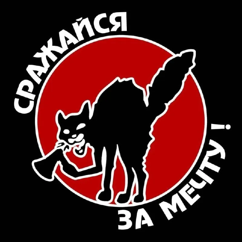 В обновлённый реестр «иноагентов» внесли социолога Елену Коневу, правозащитный проект, занимающийся мониторингом в Крыму, и анархистское объединение, которое поддерживает политзаключённых.