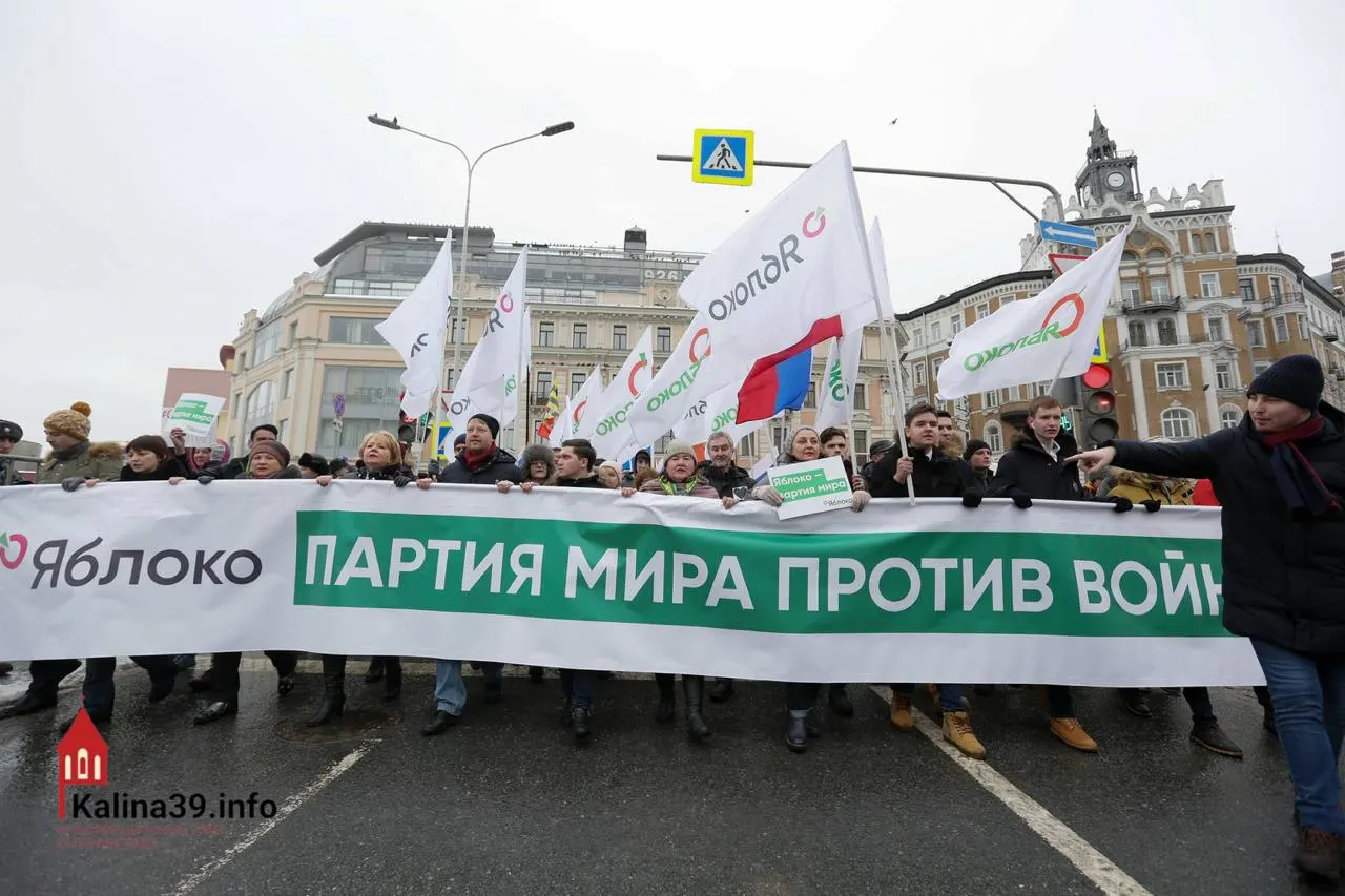 После регистрации федерального списка «Яблока» эксперты предполагают, что участию партии могли дать ход, чтобы канализовать протестные настроения, при этом многие известных кандидатов отстранены.