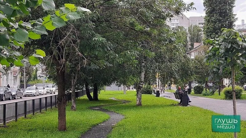 Депутаты обсуждают механизмы поощрения граждан, которые занимаются улучшением дворов и публичных зон. Планируется корректировка положений о почётных грамотах и благодарственных письмах областной думы.