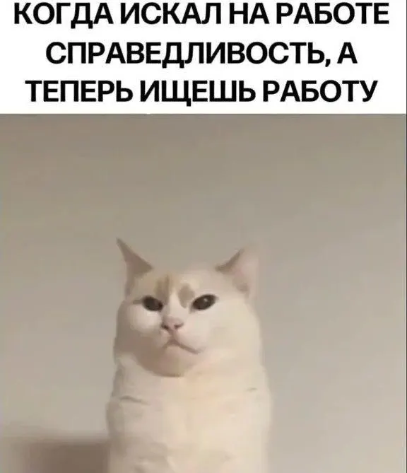 Опрос SuperJob и проекта Dream Job среди жителей Саратова выявил, какие черты руководителей и коллектива люди считают неприемлемыми: от агрессии и токсичности до фаворитизма и несправедливой оценки труда.