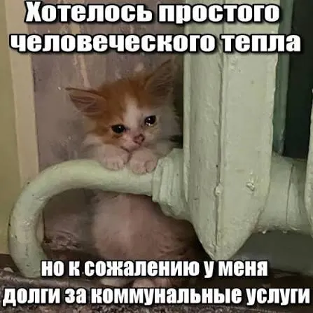 ВС подтвердил, что срок исковой давности в три года препятствует включению в квитанции задолженностей по капремонту старше этого периода — это защищает покупателей вторичного жилья и наследников от принудительного взыскания.