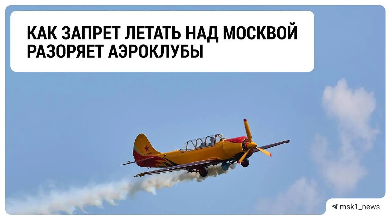 Из-за ограничений аэроклубы Подмосковья терпят убытки; отрасль ждёт продления запрета и возможного смягчения мер.