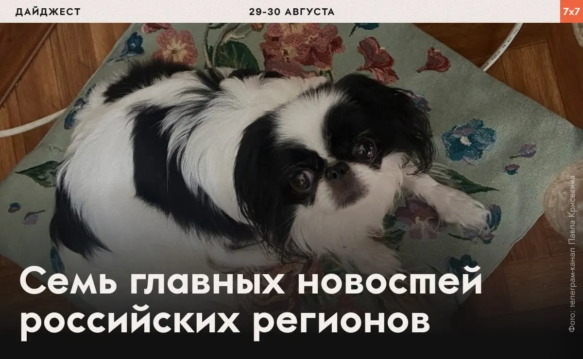 Краткий обзор: принуждения к физическим нагрузкам, давление на активистов, запреты на агитацию и региональные инициативы по всей стране.