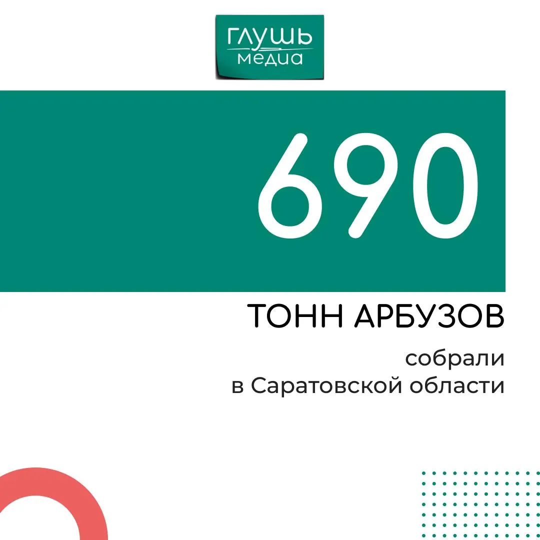Основные районы выращивания арбузов в регионе: Краснокутский, Марксовский, Энгельсский и Ровенский; лидирует Ровенский район.
