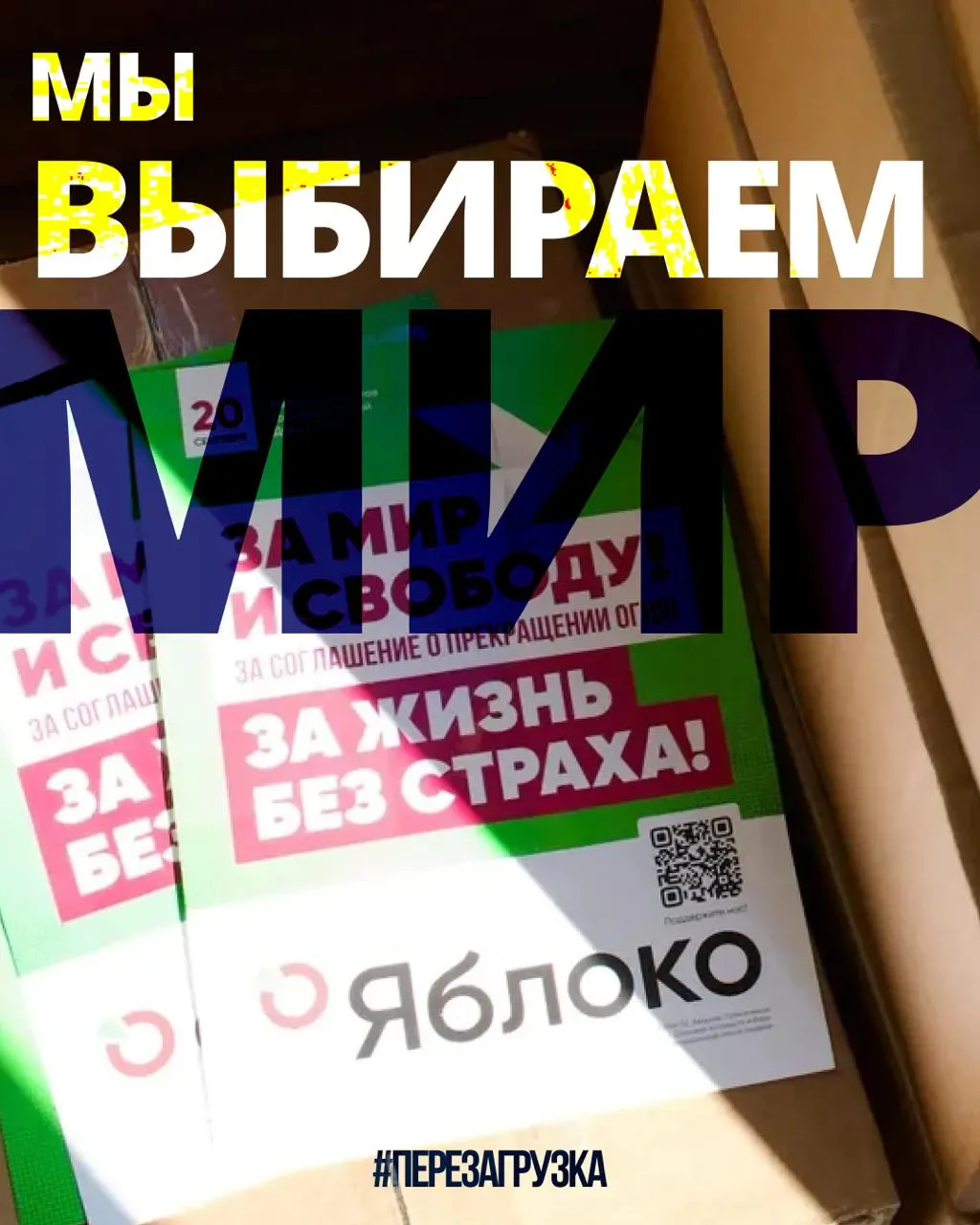 По всей России партия продвигает своих кандидатов: в 53 регионах действует 135 кандидатов, на карте можно выбрать регион и познакомиться с кандидатами за мир и свободу.