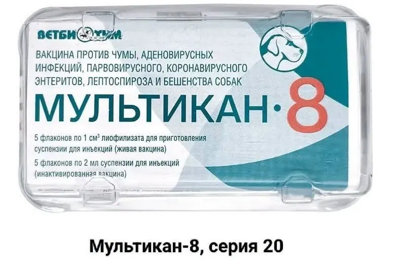 В нескольких регионах фиксируются гибель собак после прививок, связанные с вакциной Мультикан-8. Владельцы требуют независимого расследования и прозрачности, производитель отозвал партии, надзорные органы проводят проверки.