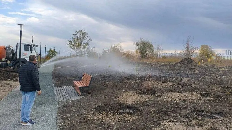 В парке Соловьиная роща в Саратове высадили свыше 500 растений; на благоустройство потрачено около 60 миллионов рублей. Информация поступила 23 октября.