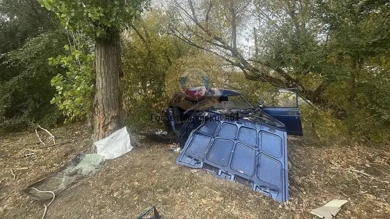 По данным полиции, ДТП произошло около дома №1 в 11:20. 26-летний водитель ВАЗ-2107 не справился с управлением и врезался в дерево, погиб на месте.