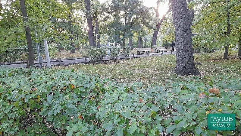 На госзакупках опубликованы данные о закупке скульптур для городского парка Саратова; первоначальная стоимость контракта составляет 4 237 098,28 руб.